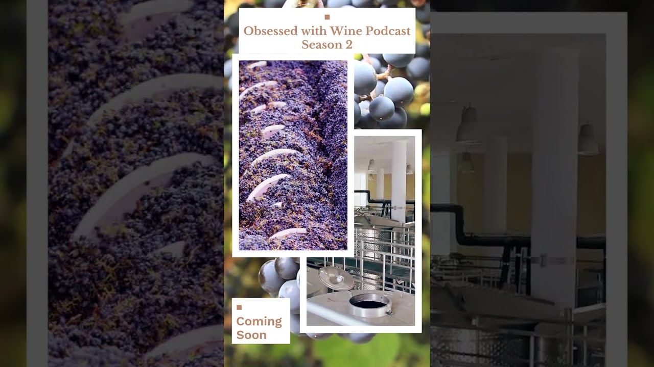 The Best Wine Podcast is Back:  Obsessed with Wine Podcast Season 2 Coming Soon