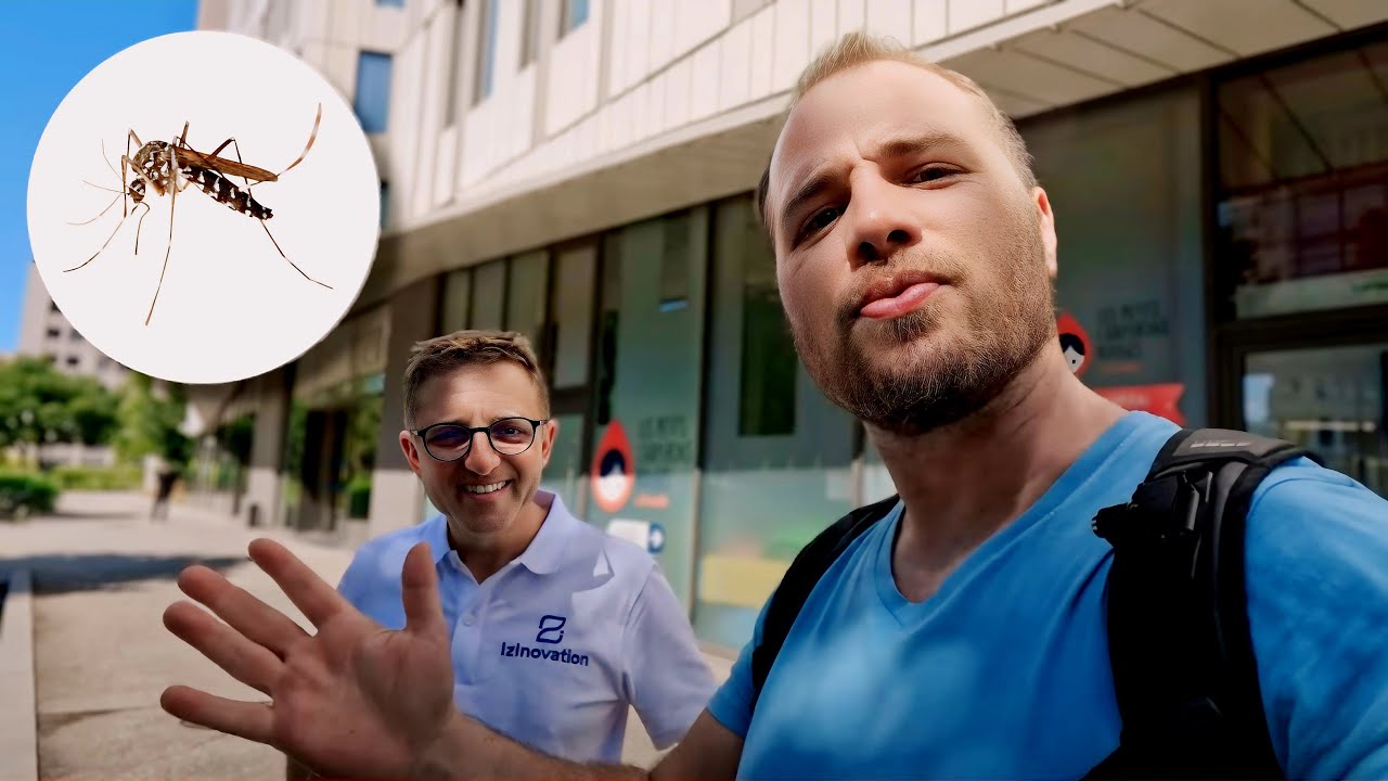 Comment les moustiques prolifèrent-ils dans nos villes (Feat Romain Lasseur)