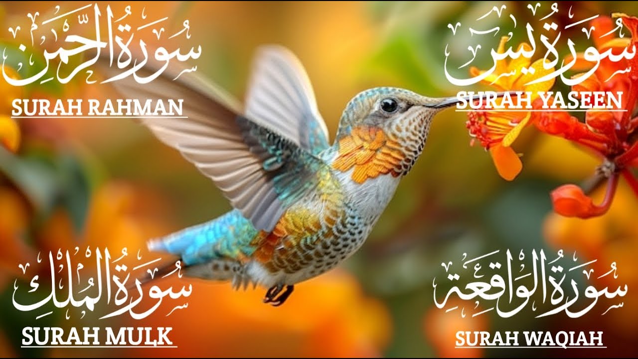 سورة يس❤️والرحمن والواقعة والملك | للرزق والشفاء العاجل❤️جودة عالية HD  #اكسبلور