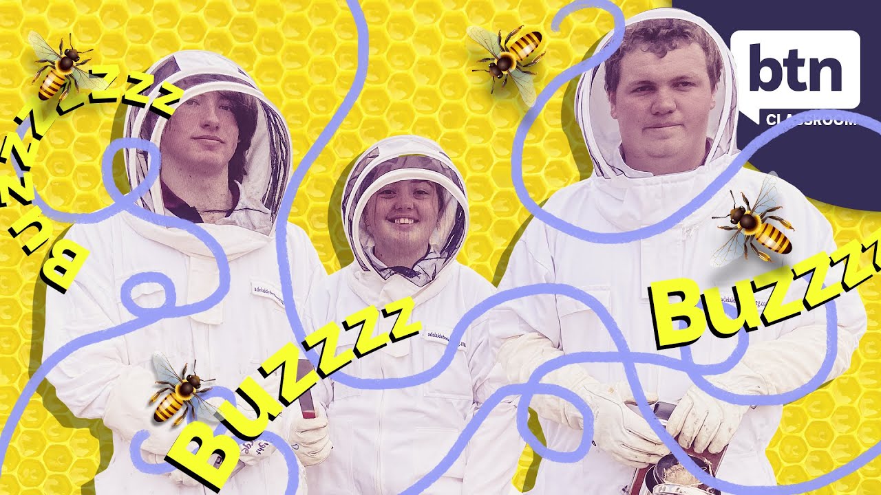 🐝 World Bee Day - Behind the News