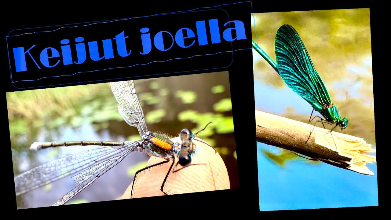 Keijukaiset joella