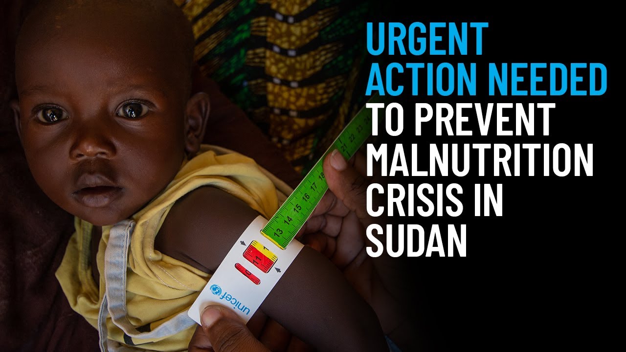 Urgent Action Needed to Prevent Malnutrition Crisis in Sudan