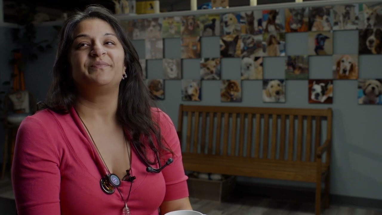 Dr. Bhatt&rsquo;s Journey to Becoming an Integrative Vet