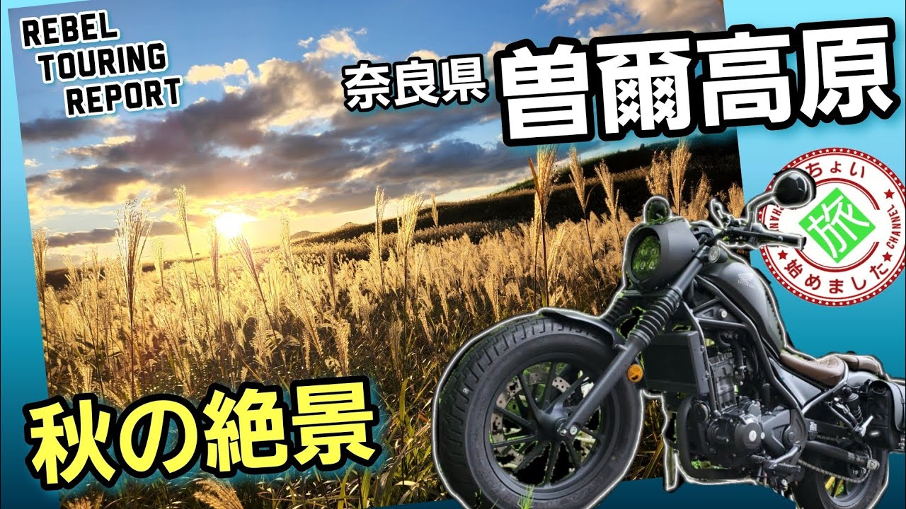 秋の絶景！黄金の景色【曽爾高原】