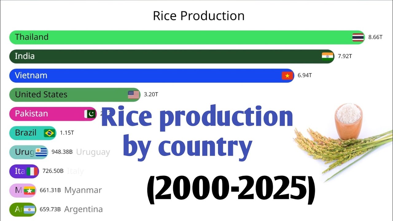 Rice production by country (2000-2025) / world update 
