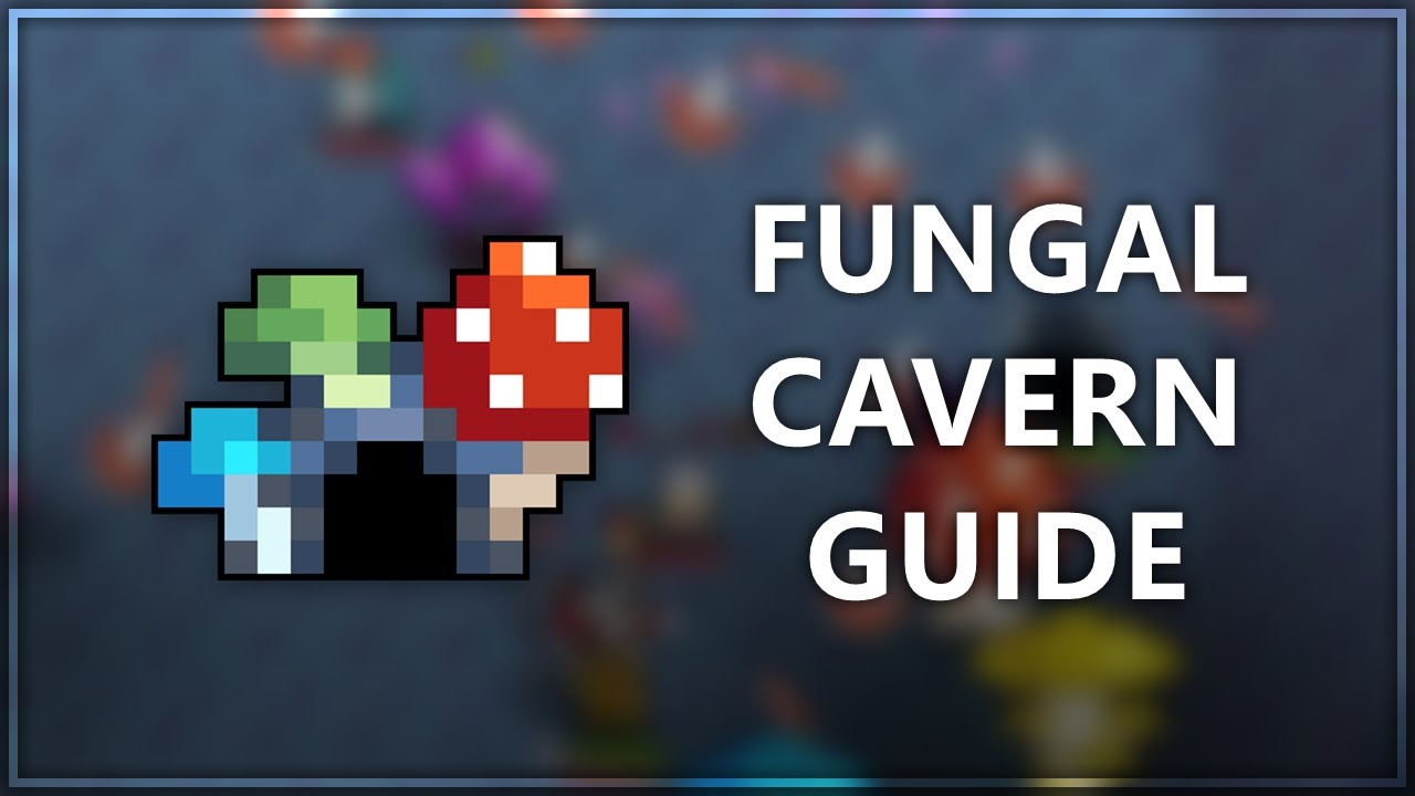 The Fungal Cavern Guide - RotMG