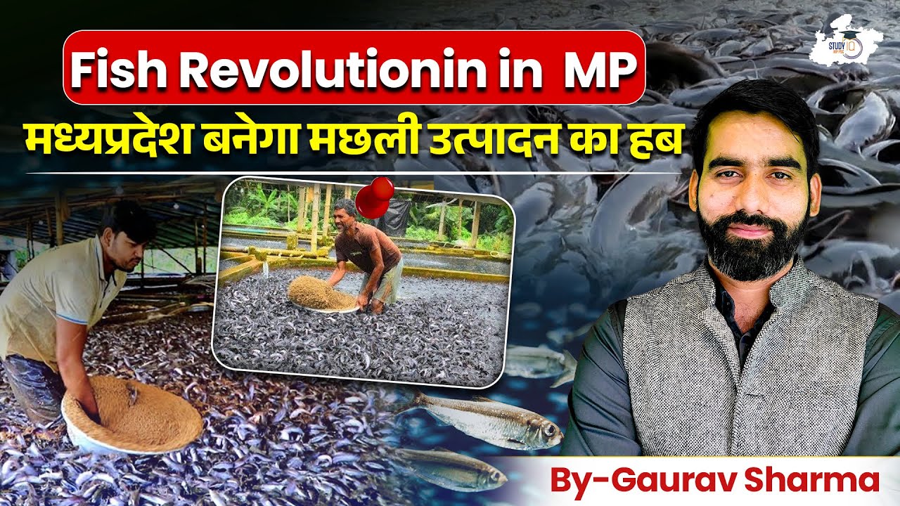 How MP Become No 1? In Fish Production ||New Schemes for Fishermen&nbsp;||&nbsp;Gaurav&nbsp;sir