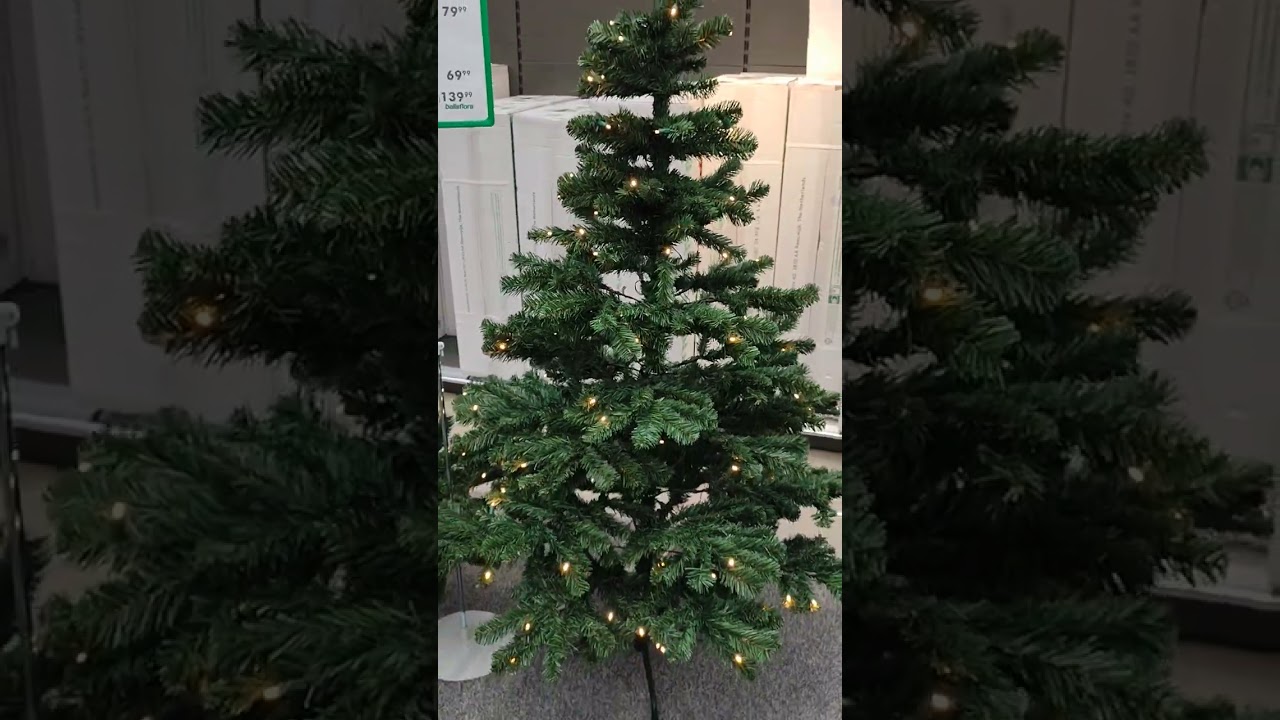Bester Kunstweihnachtsbaum 202 Black Box Trees Macallan