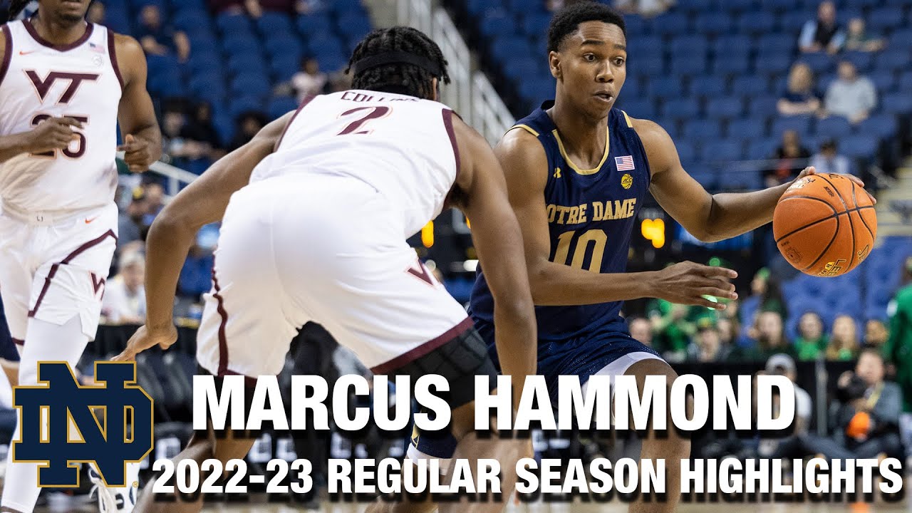 Marcus Hammond 2022-23 Regular Season Highlights | Notre Dame Guard