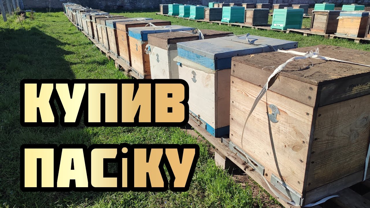 ✅Весна - час розширення пасіки.