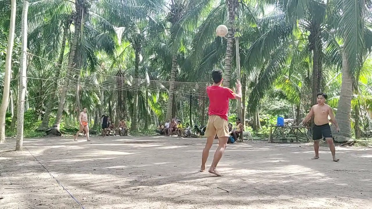 Sagrada full video 6