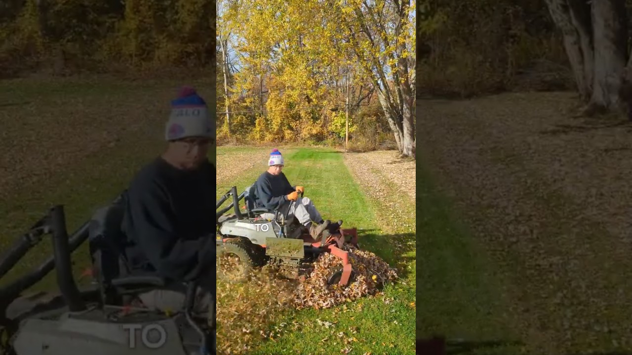 ТОП-3 способа уборки листьев! #diy #howto #tips #leafcleanup #grassmastermatt #shorts