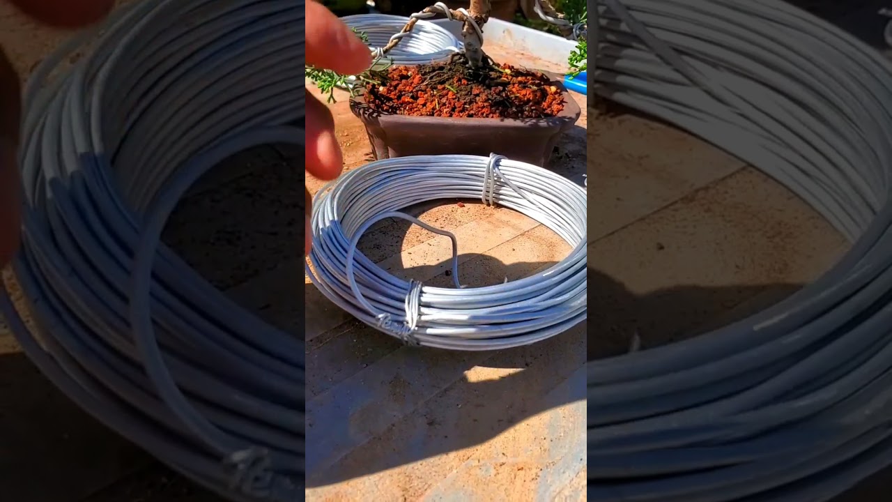 Alambre de Bonsai. Cual es su función? Cual si ,Cual no? 🤔🛠