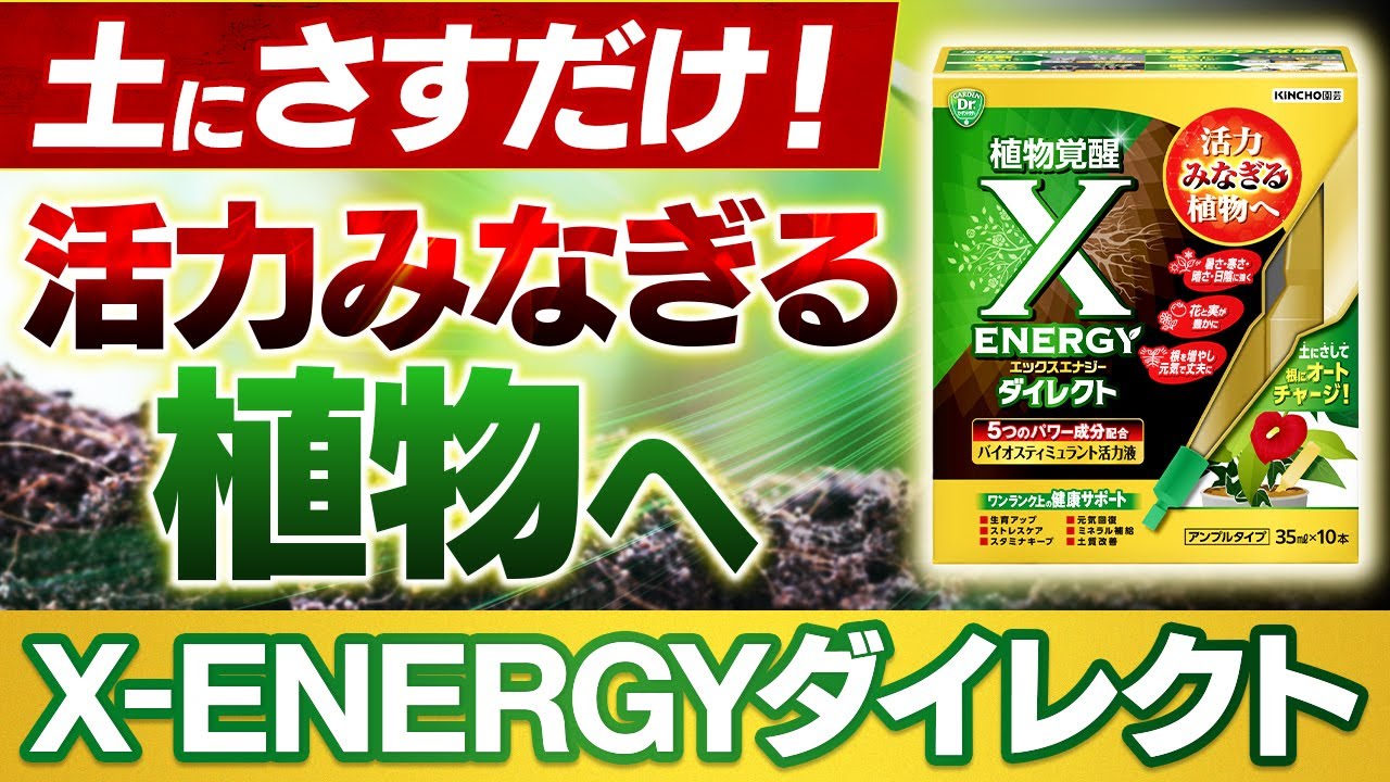土にさすだけ！活力みなぎる植物へ～X-ENERGY（エックスエナジー）ダイレクト アンプル～ガーデンドクターTV61