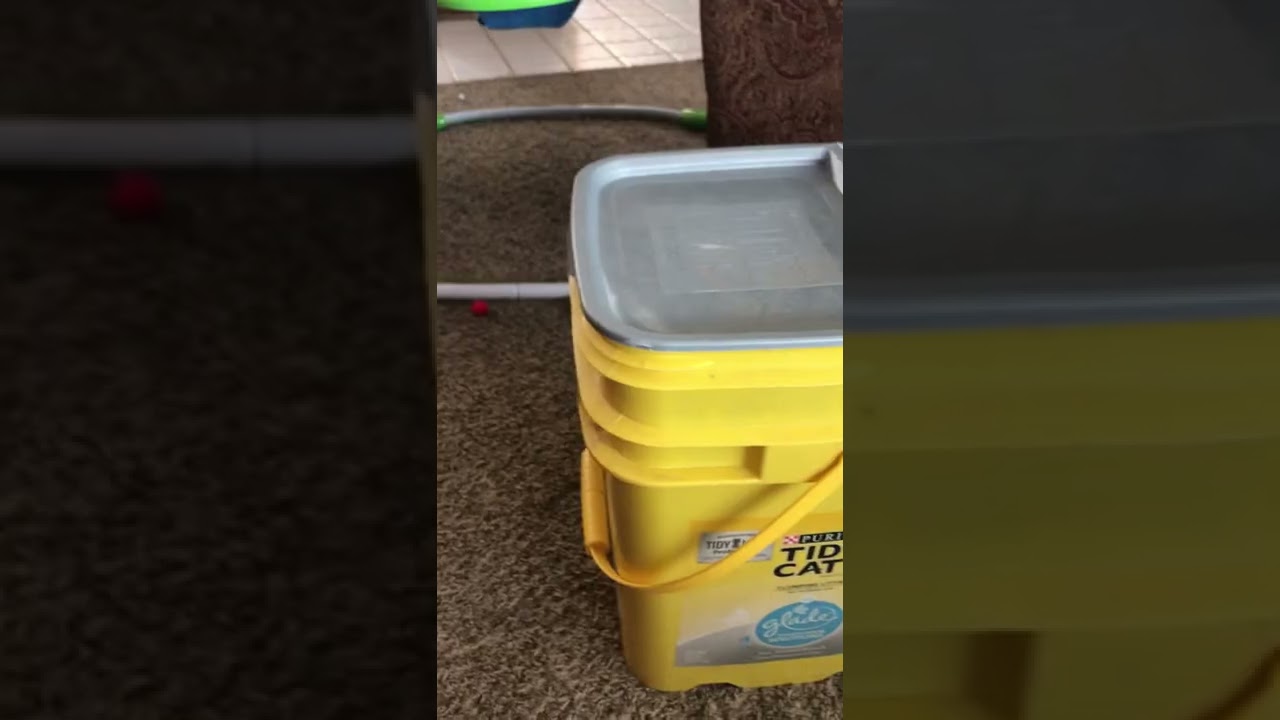 Finding ways to repurpose these cat litter buckets. Share your ideas in the comments!