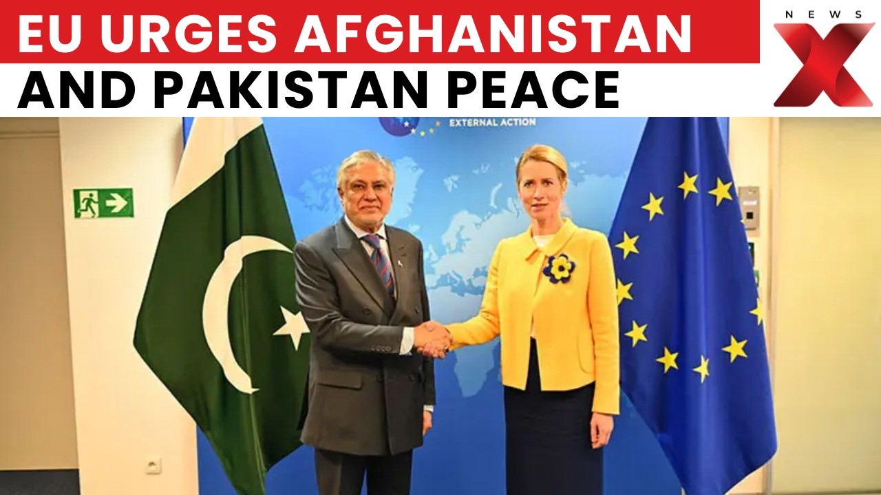Europe Sounds Alarm On Afghanistan-Pakistan Clashes – Urgent Action Needed! | War News