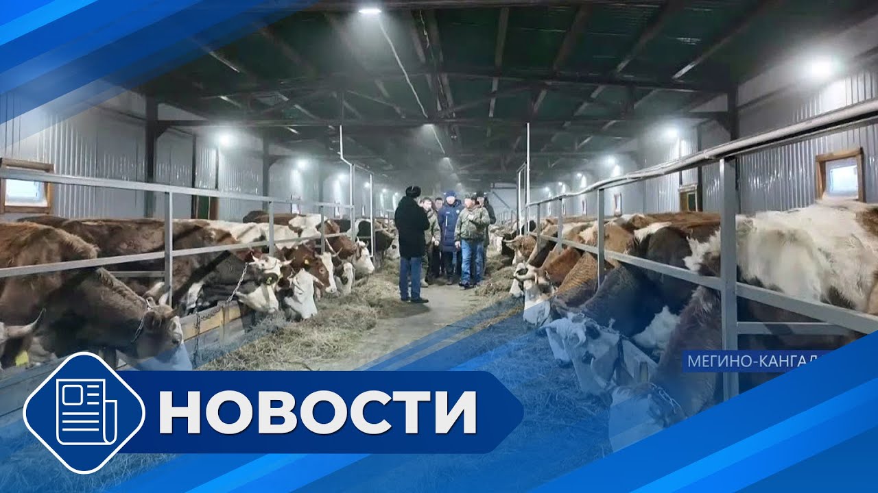 Новости 19.00 от 15.01.26