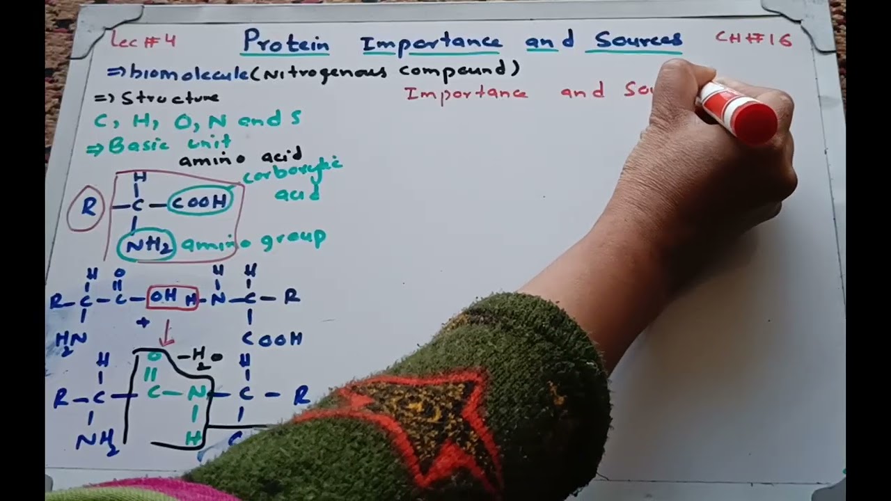 Protein/lec#4 #chemistry #biochemistry #chemistrypage #9thchemistry #organiccompounds 