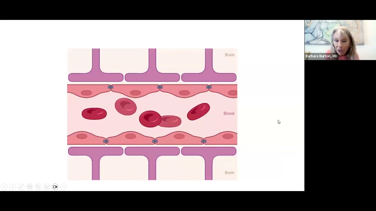 Blood Brain Barrier Challenges and What Science is Doing to Help