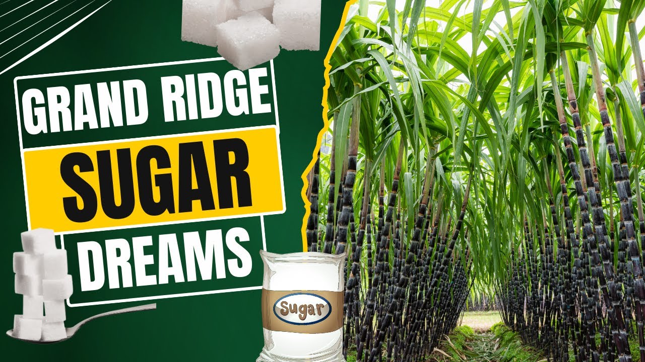 Grand Ridge Sugar Dreams