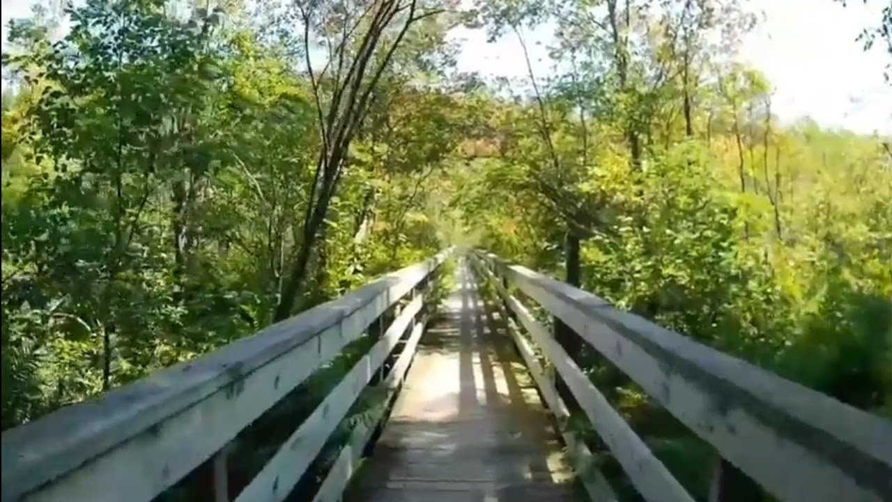 Huron - Manistee National Forest , Loda Lake