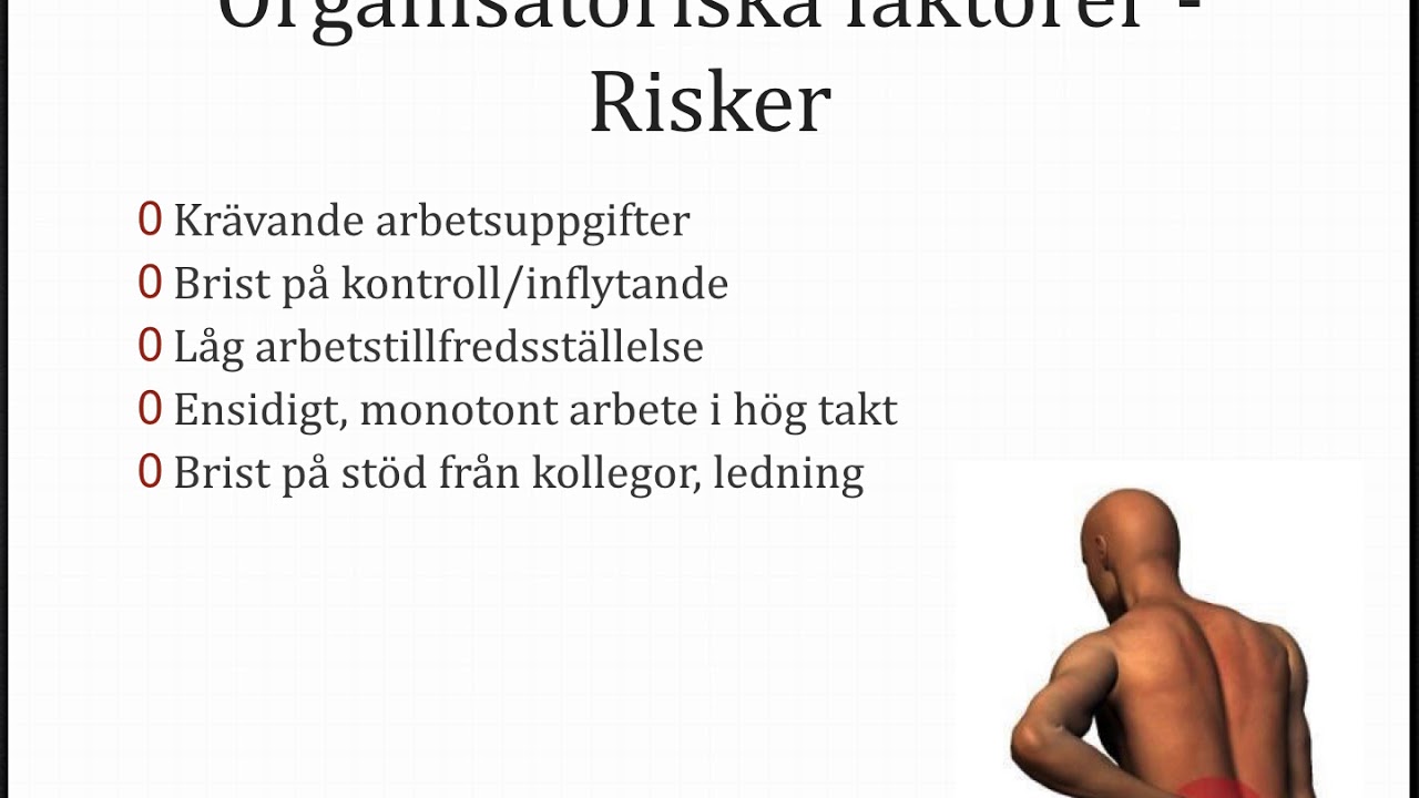 Ergonomi