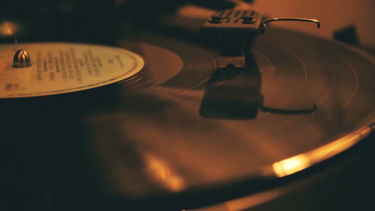 Dust on Vinyl