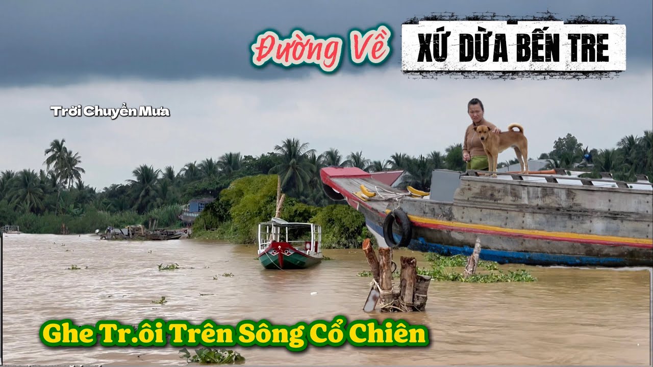  ''Ghe Tr.ôi'' Trên Sông Cổ Chiên - BÌNH YÊN TRÊN CHUYẾN ĐÒ CHIỀU, ĐƯỜNG VỀ KHU RẨY BẾN TRE XƯA.