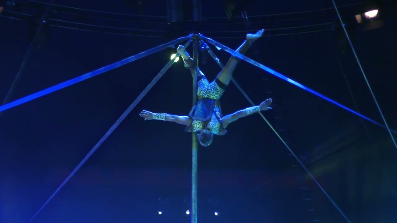 AFRICAN ARTISTE MANAGEMENT VERTICAL POLE ACT