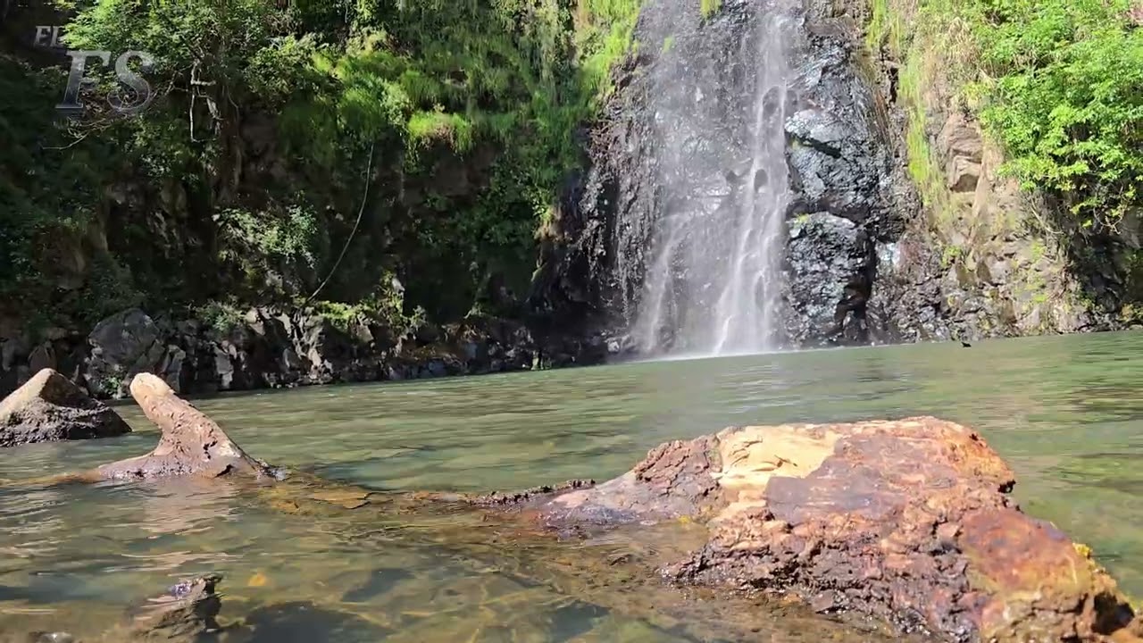 Chiquimitio Michoacán Mini Documental 1/2