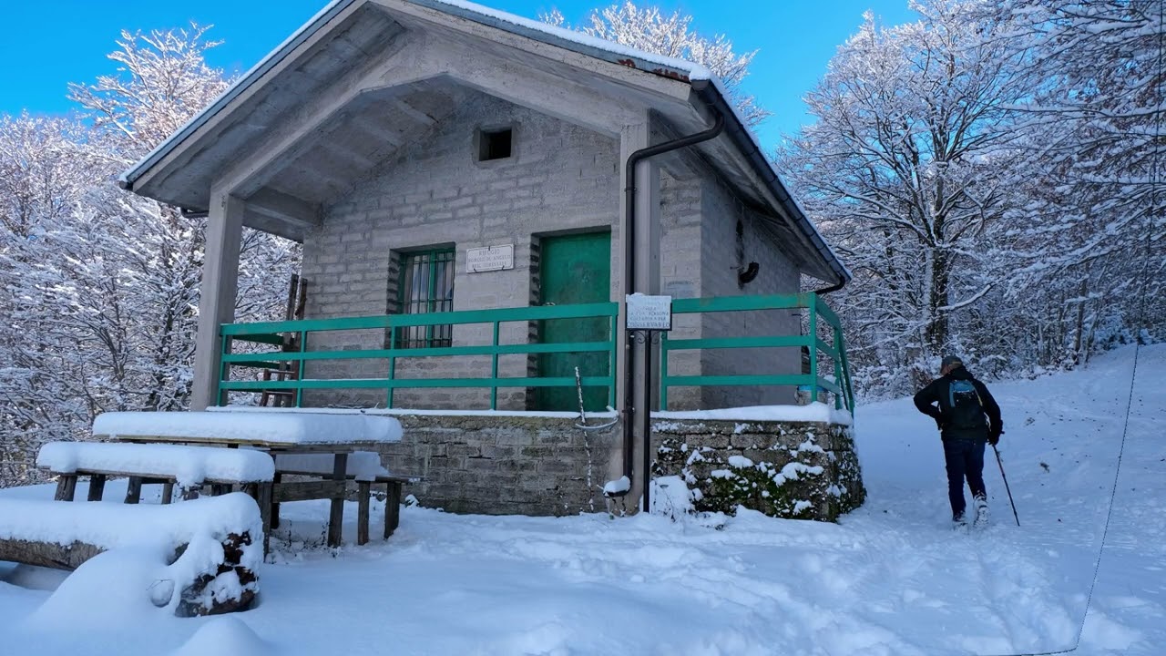 Neve