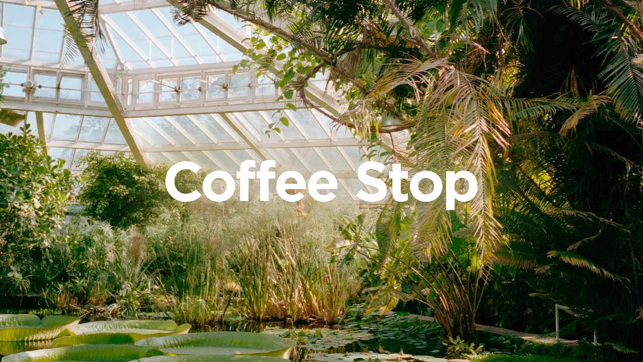 Coffee Stop ☀️ [chill work study relax lo-fi hip hop beats]