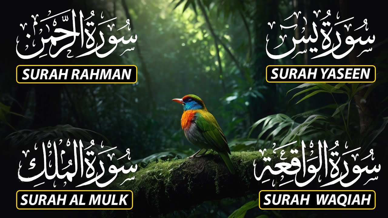 The Best Recitation Surah Yaseen (Yasin) | Surah Rahman | Surah Waqiah | Surah Mulk