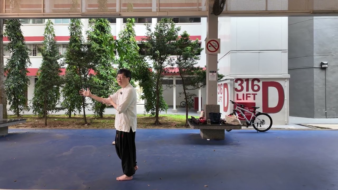 孫氏內家拳：太极拳 - 手挥琵琶式学 (The Study of Playing the Lute)