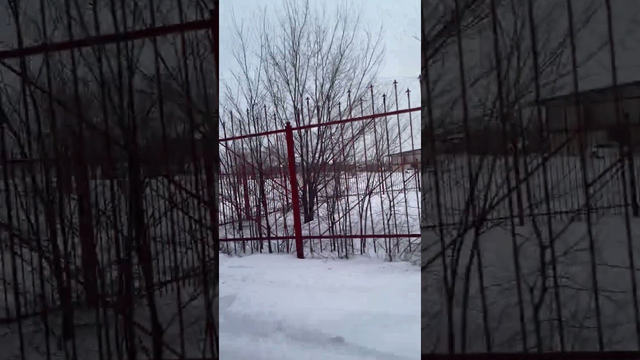 15 января 2026 г.