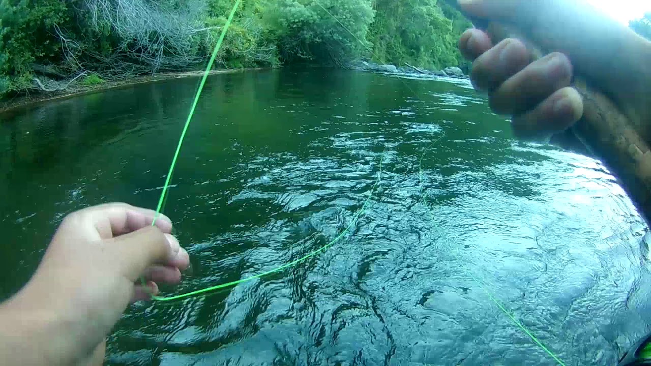 pesca de trucha a perdig&oacute;n!!
