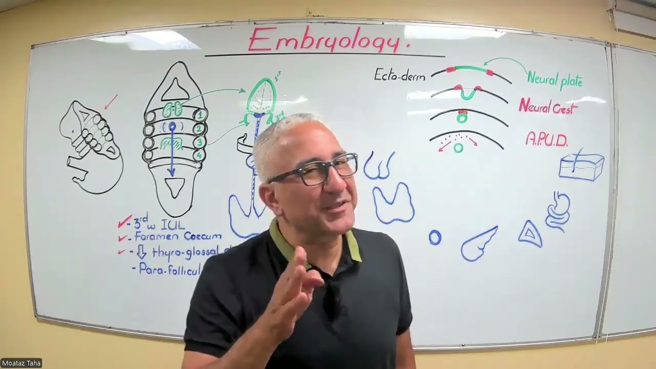 Surgery 196 lecture-2 (Thyroid anatomy) by dr. Moataz Ellithy
