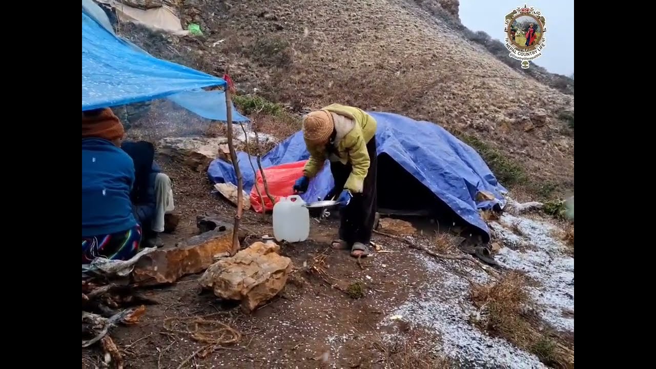 Peaceful Organic Village Life in Rural Nepal 🌿 | Struggling life,Daily Living & raining sound.