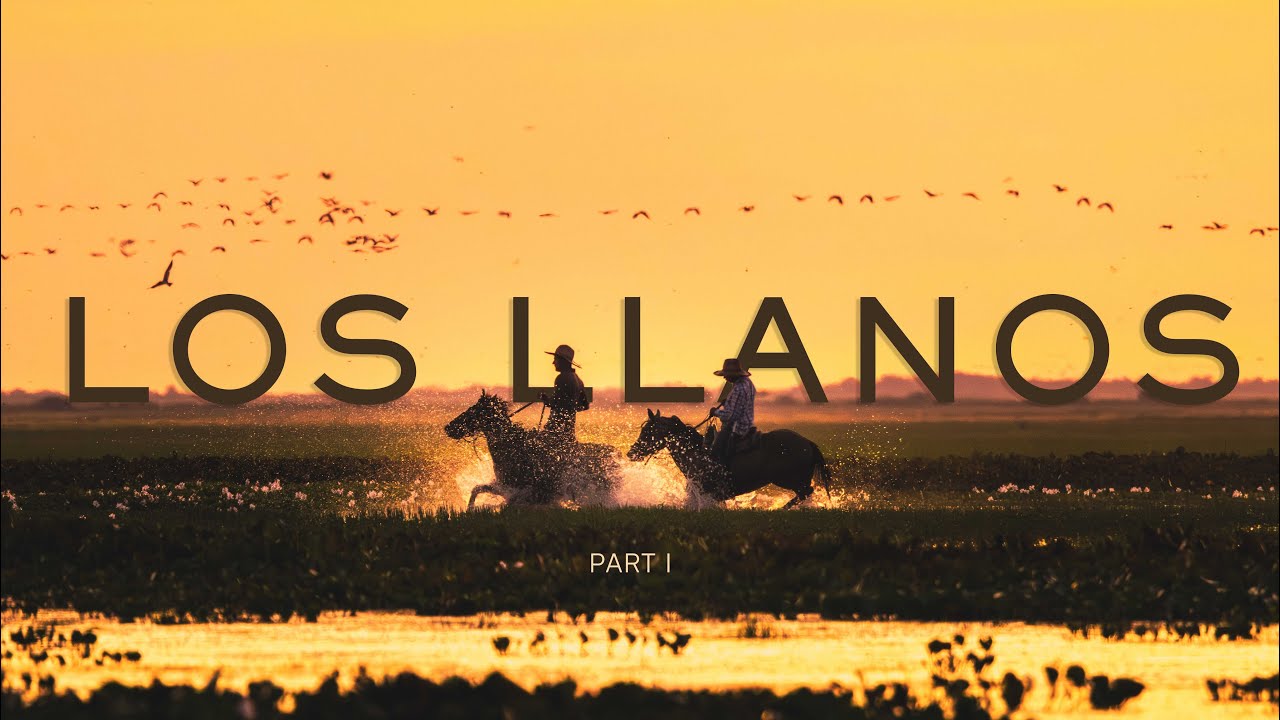 Los Llanos Venezolanos | Exploring Venezuela Cinematic Series | Part One