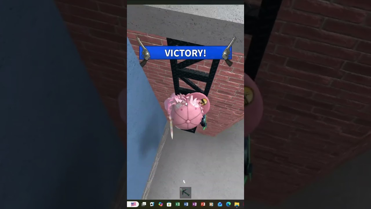 PRO MONTAGE