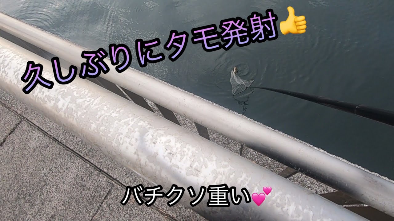 【東扇島西公園］#カレイ　釣りを開始して10分後悲劇が😭