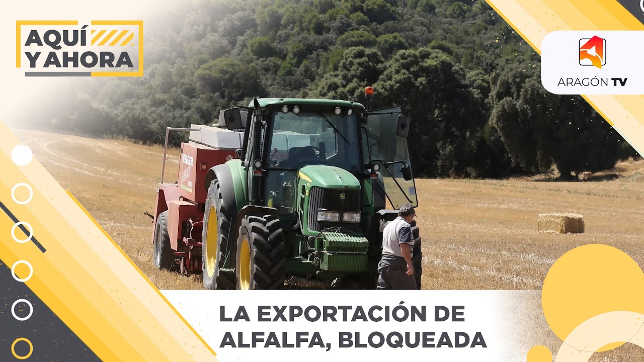 La exportación de alfalfa aragonesa a Oriente Próximo, bloqueada
