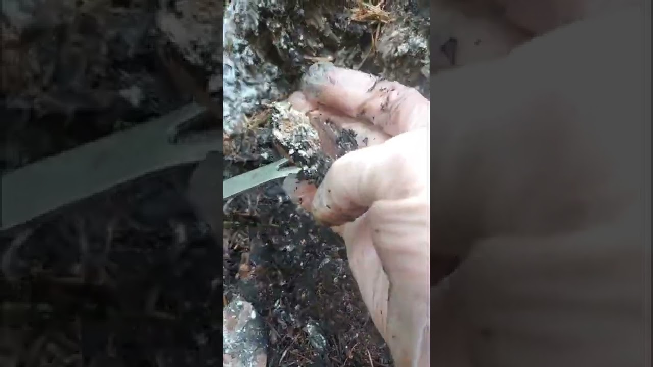 Dop Wax from Pine Sap Tutorial (Part 1)