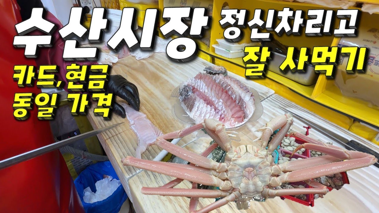 수산시장 도매시장 광어회 대게 석화 샴페인 한잔하기