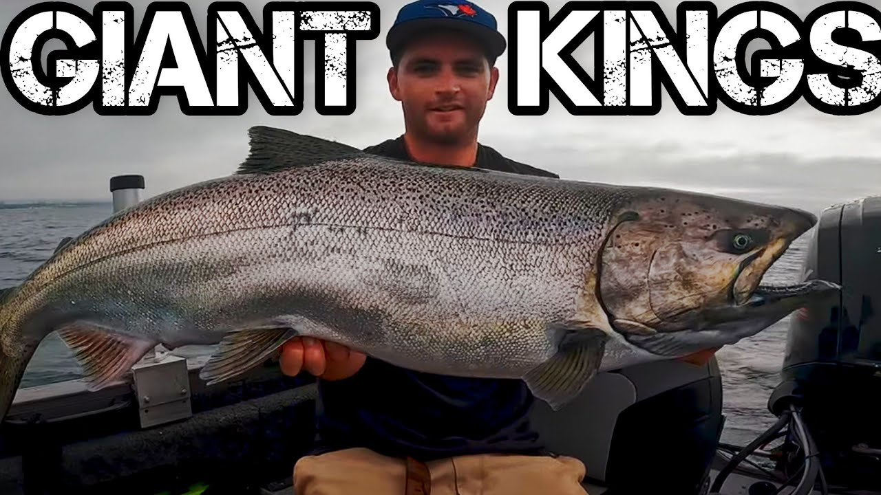 LAKE ONTARIO KING SALMON FISHING! (The hunt for a LEADERBOARD KING) Fox Fishing 4K Ultra HD