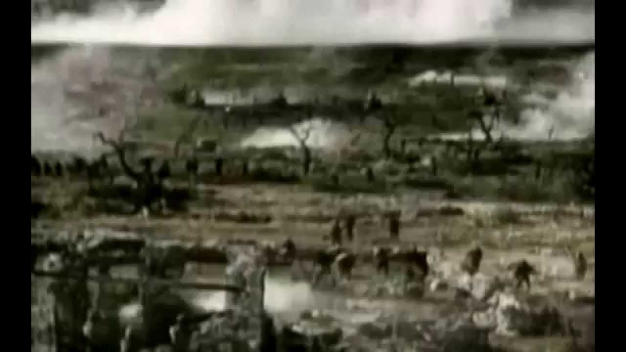 AD&Aacute;MASTOS - P.G.M.