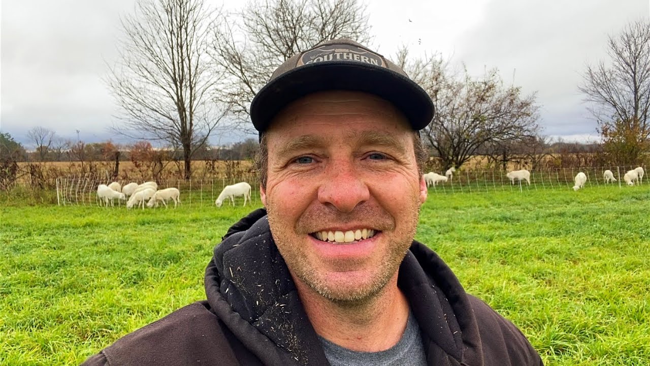 How Many Sheep Can I Graze Per Acre?