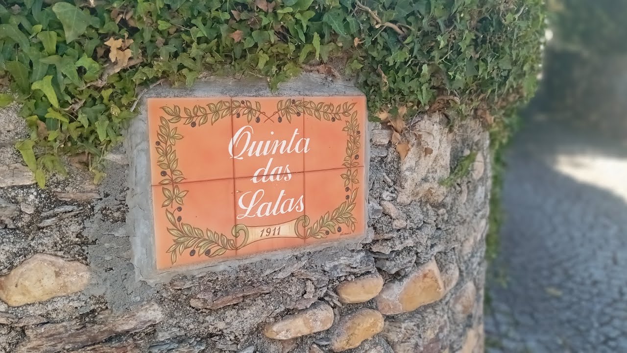 A Historic Portuguese Manor House! Property Tour Central Portugal!