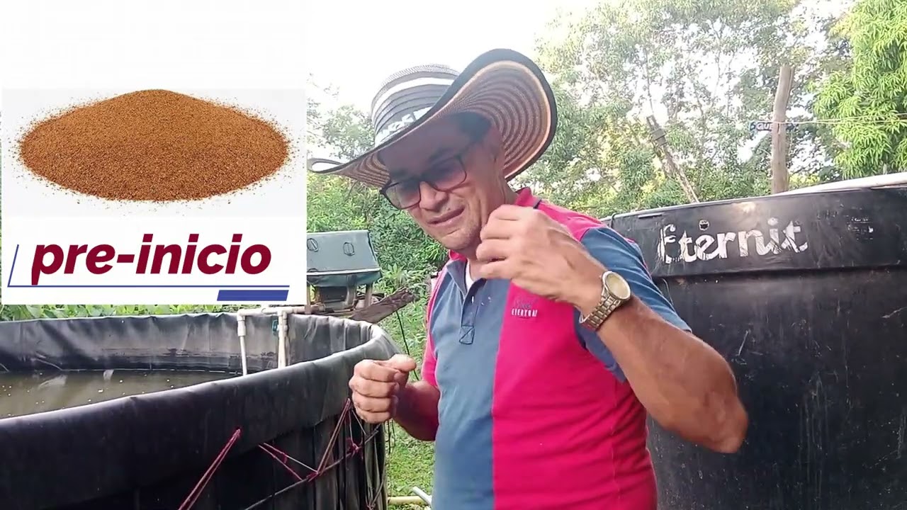 Cría de cachama (de alevinos a juveniles)