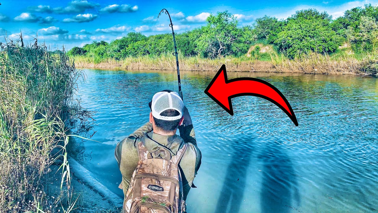 Rio Hondo TX ALLIGATOR Gar Fishing